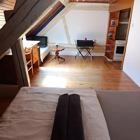 Perfect Location Free Wifi Center Three People * לובליאנה
